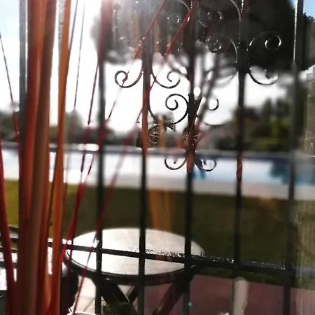 Apartment Verdemar With Sea View And Garden